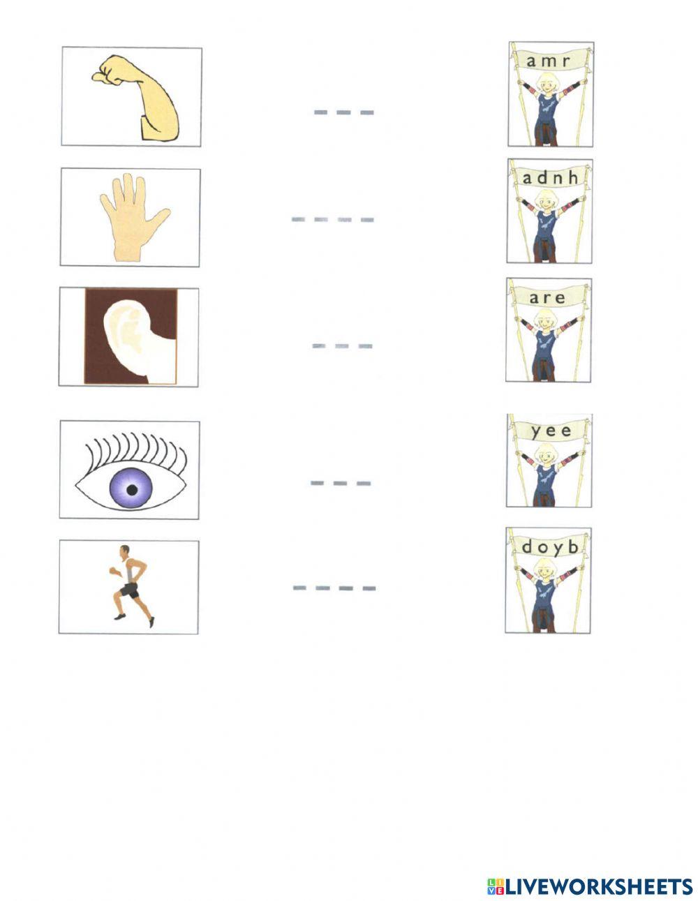 Starters-Practice 20