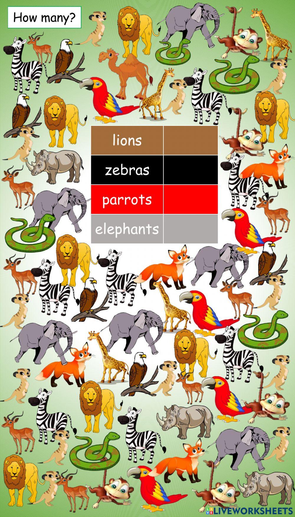 Grade 6 access unit 8 lesson 9 sen