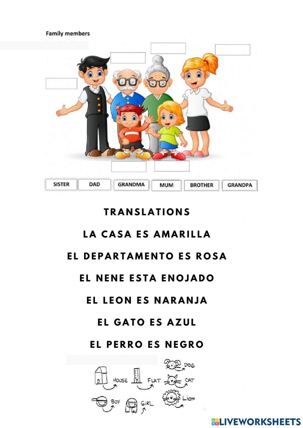 Starters vocabulary and translations