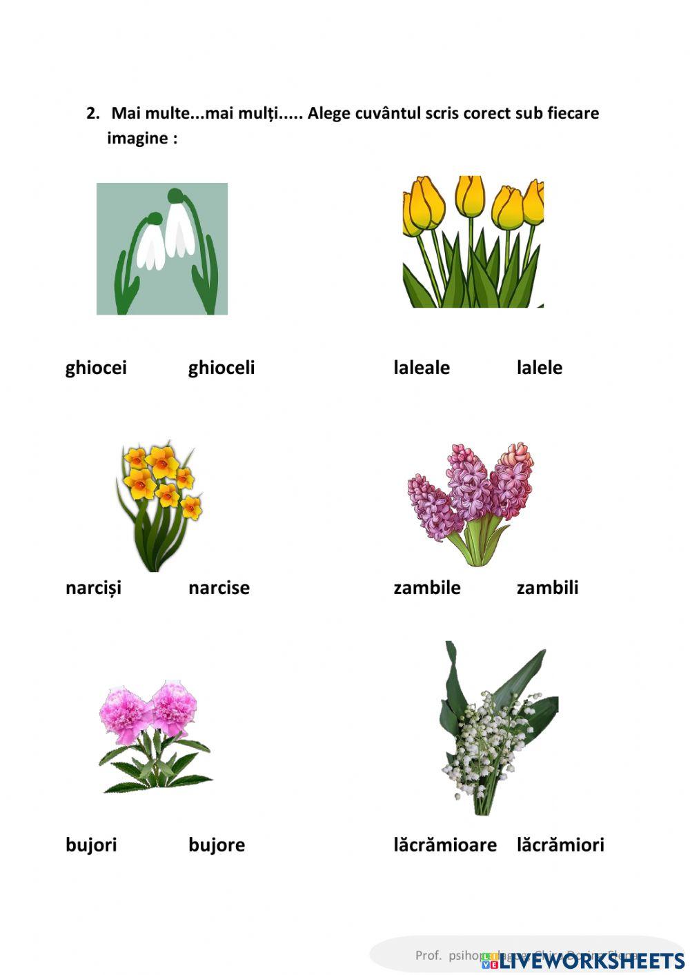 Flori de primăvară