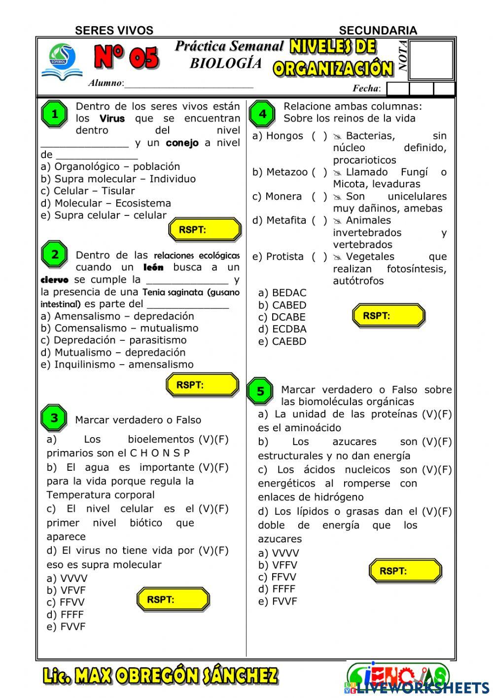 Spb-seres vivos organización