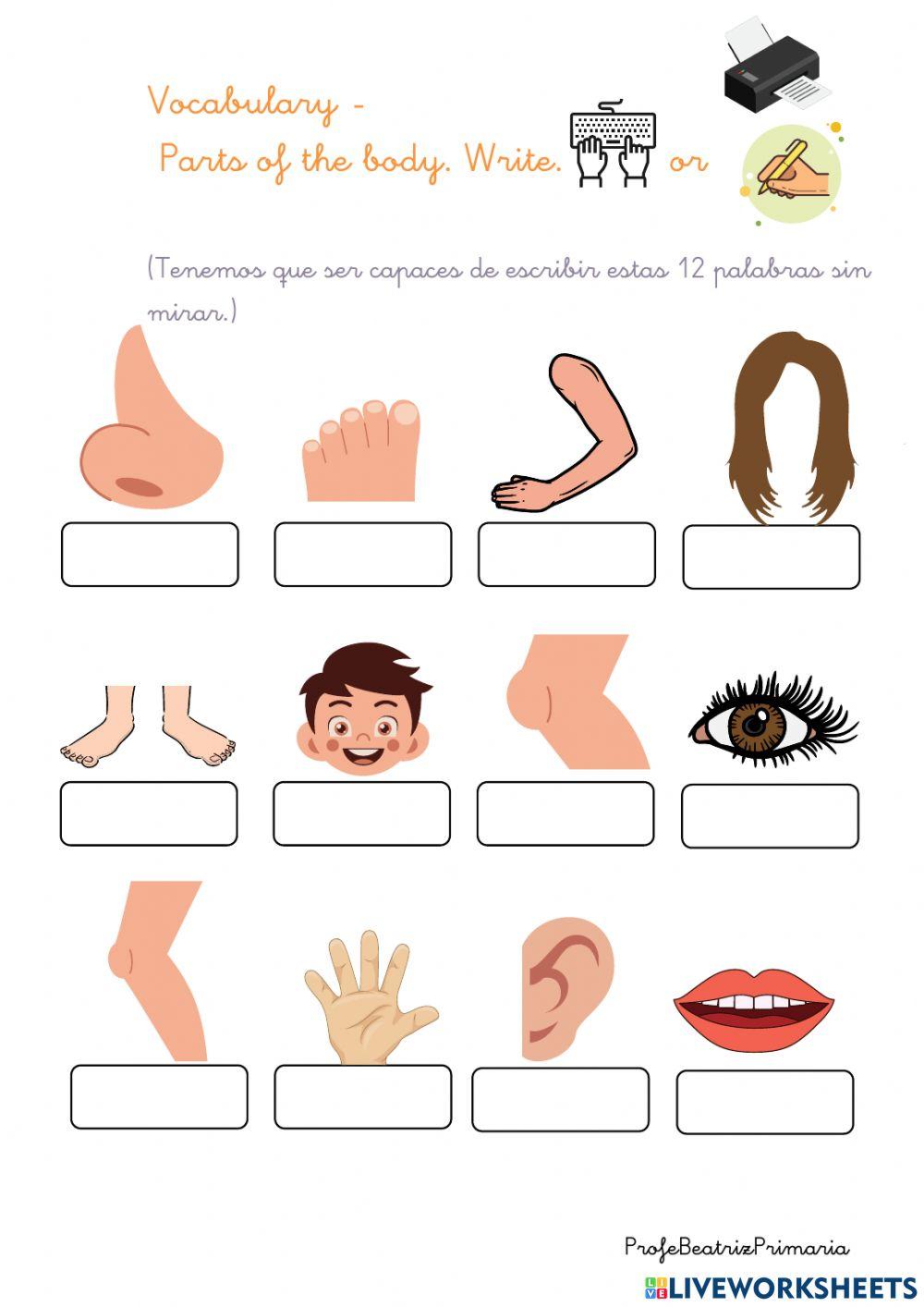 Go Far Richmond Year 1 U5 Let's dance! Vocabulary I Parts of the body