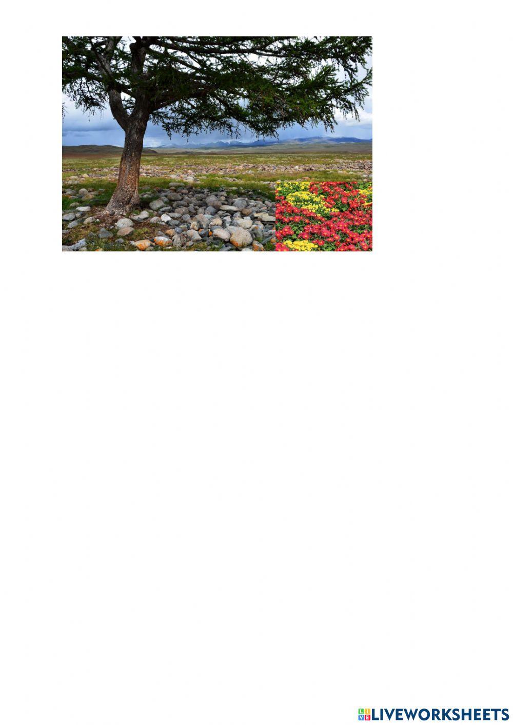 Imla l-vojt bl-aġġettiv