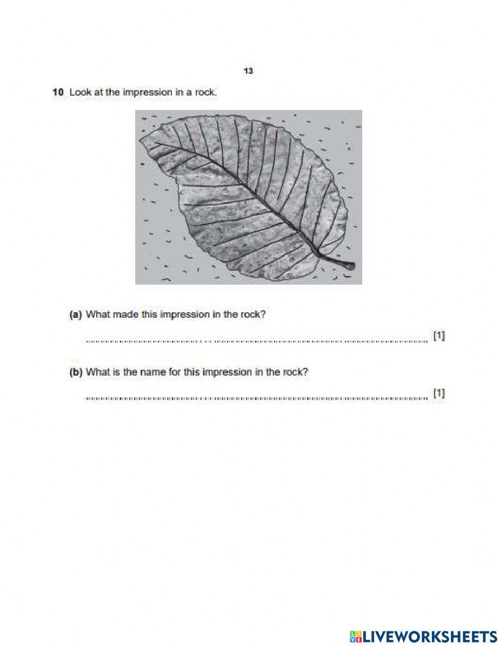 EoY Revision 2 - Part 2