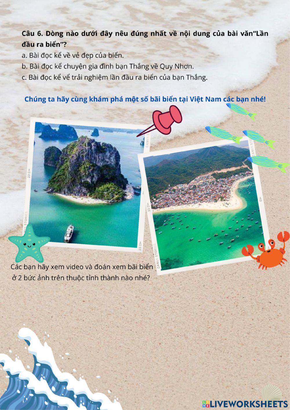 Lần đầu ra biển