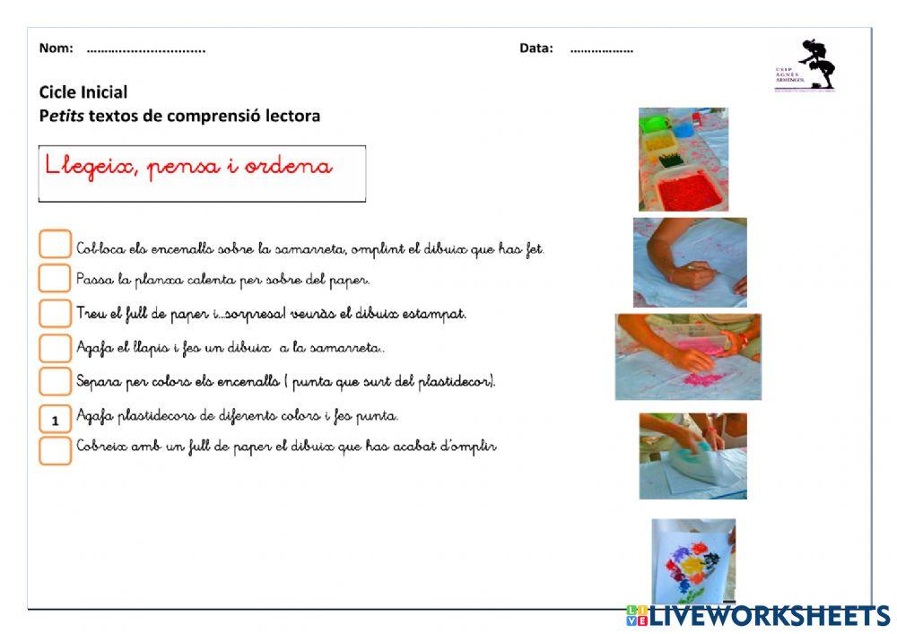 Ordena les instruccions - avançat
