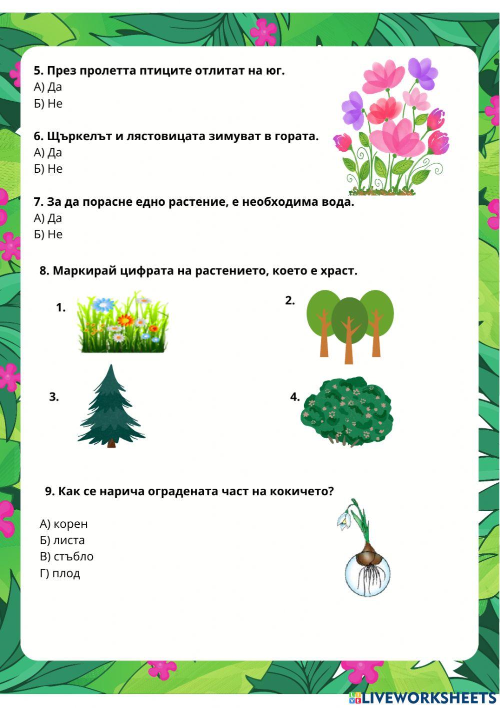 7012804 | Родинознание 1.клас - изходно ниво | elitsa82
