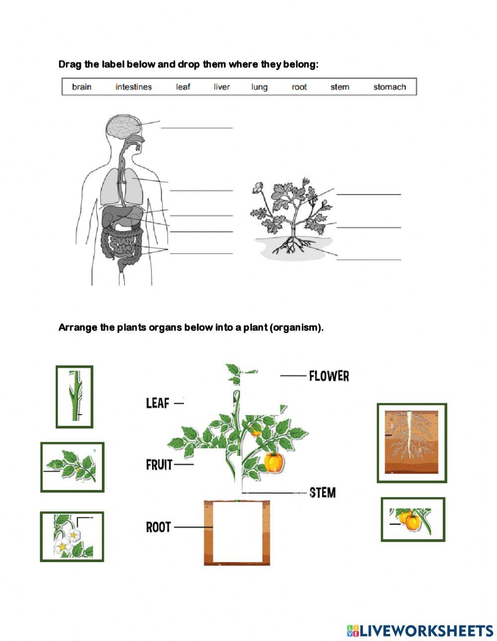 Cells, Tissues and Organs