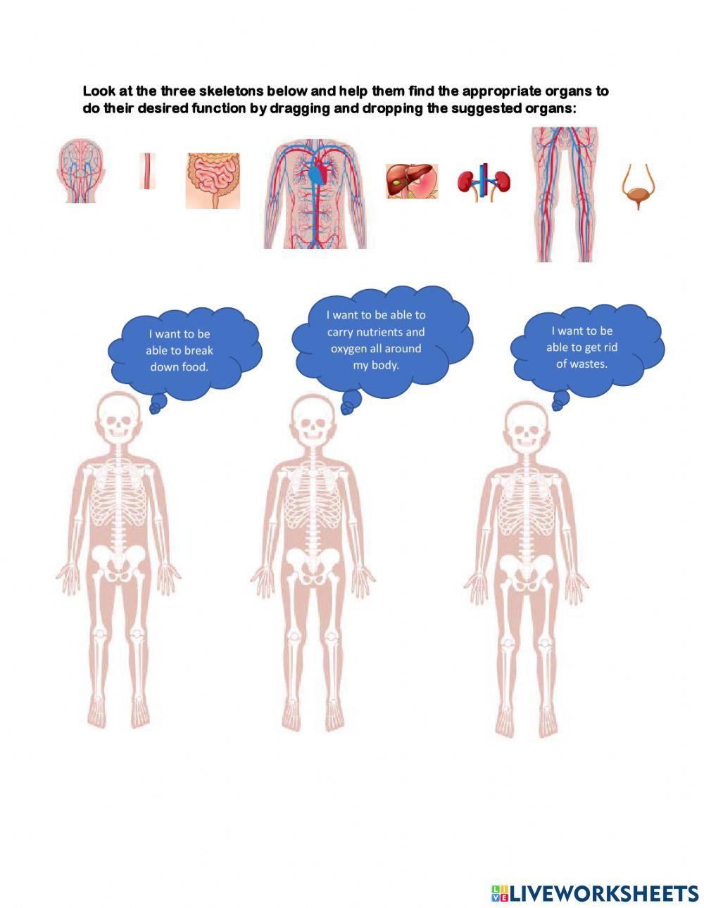 Cells, Tissues and Organs