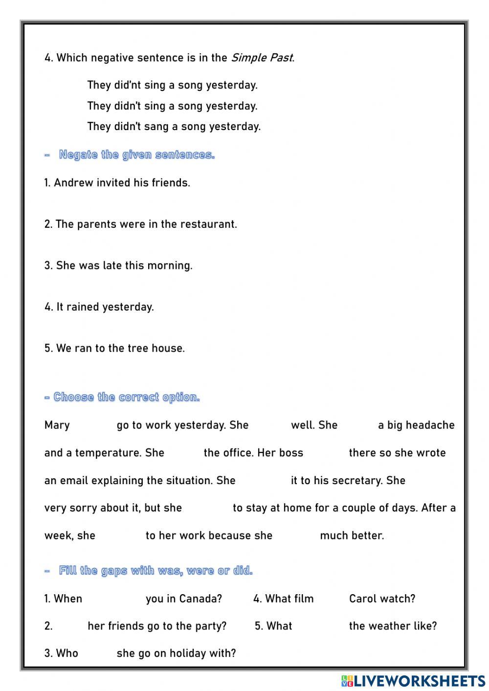 Simple Past - General Review