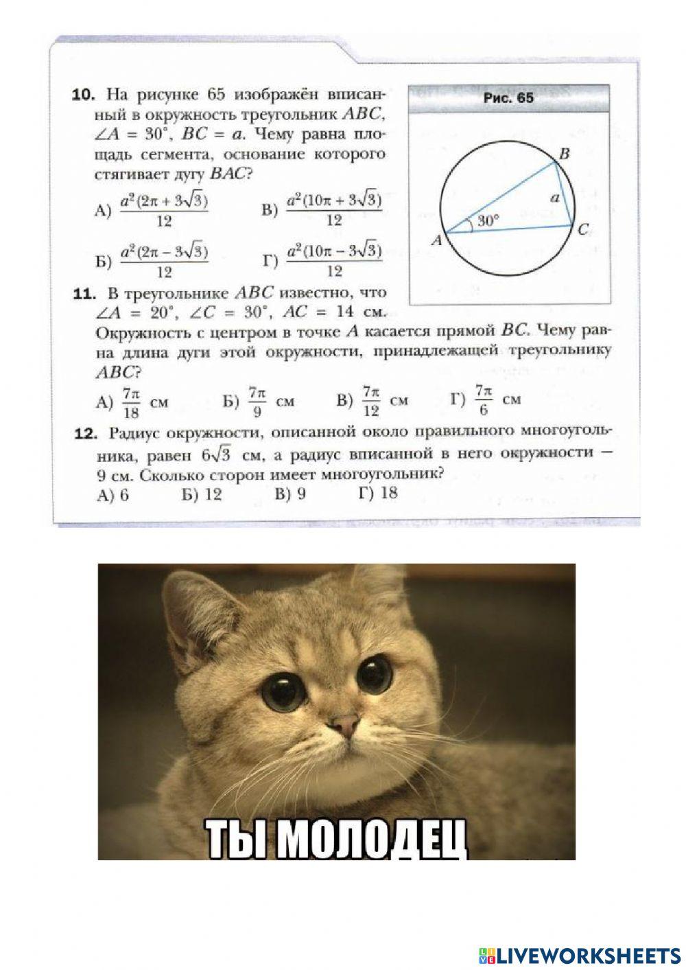 Правильные многоугольники
