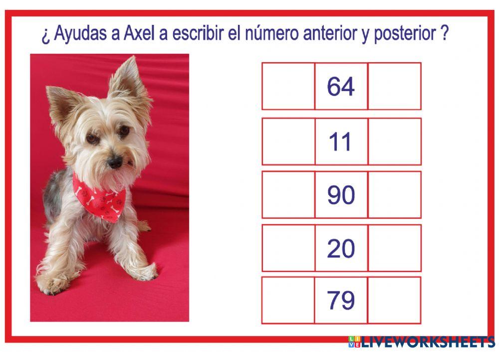 Aprende el número anterior y el número posterior con axel