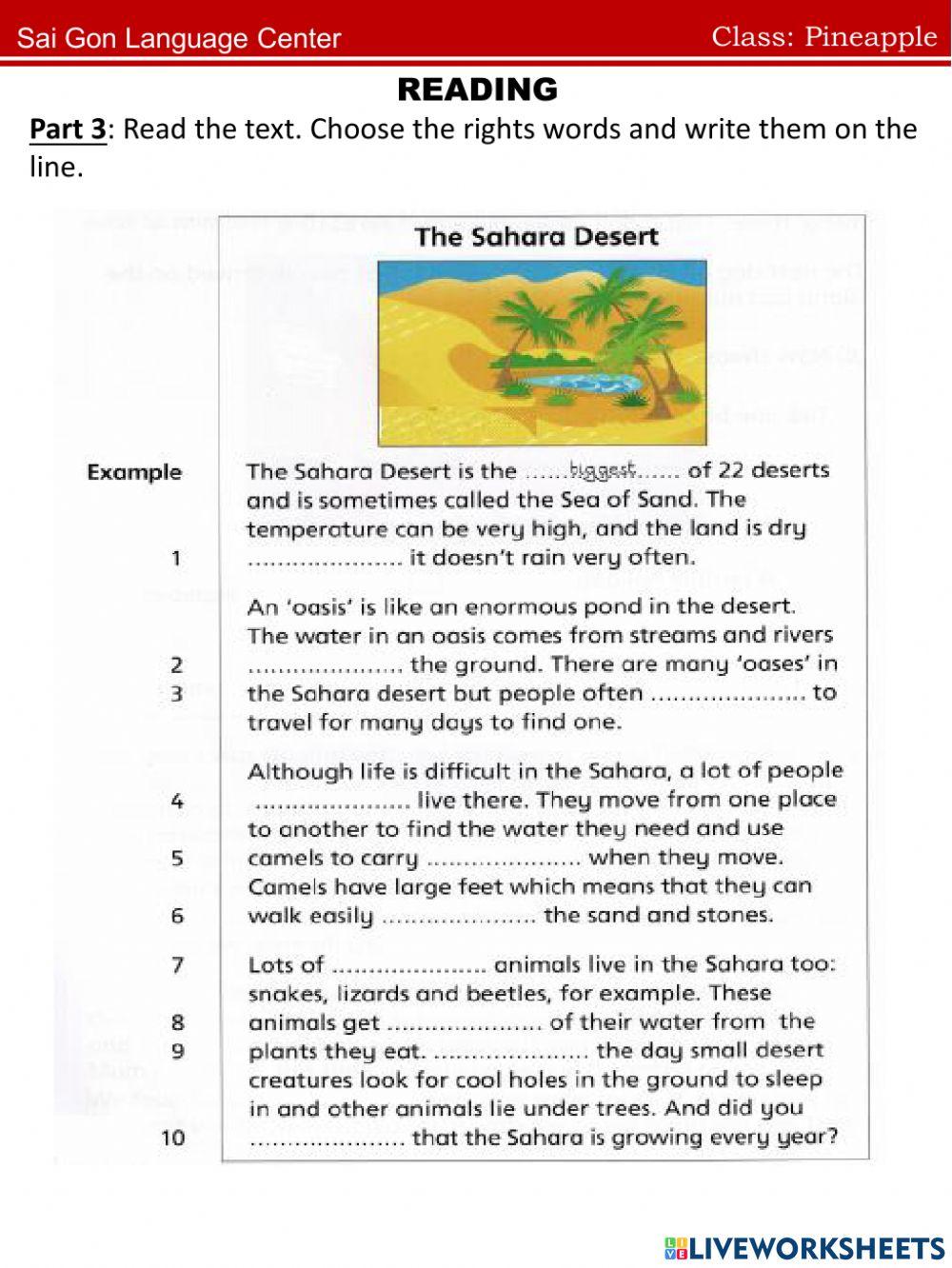 Pineapple.Written test(01.04)