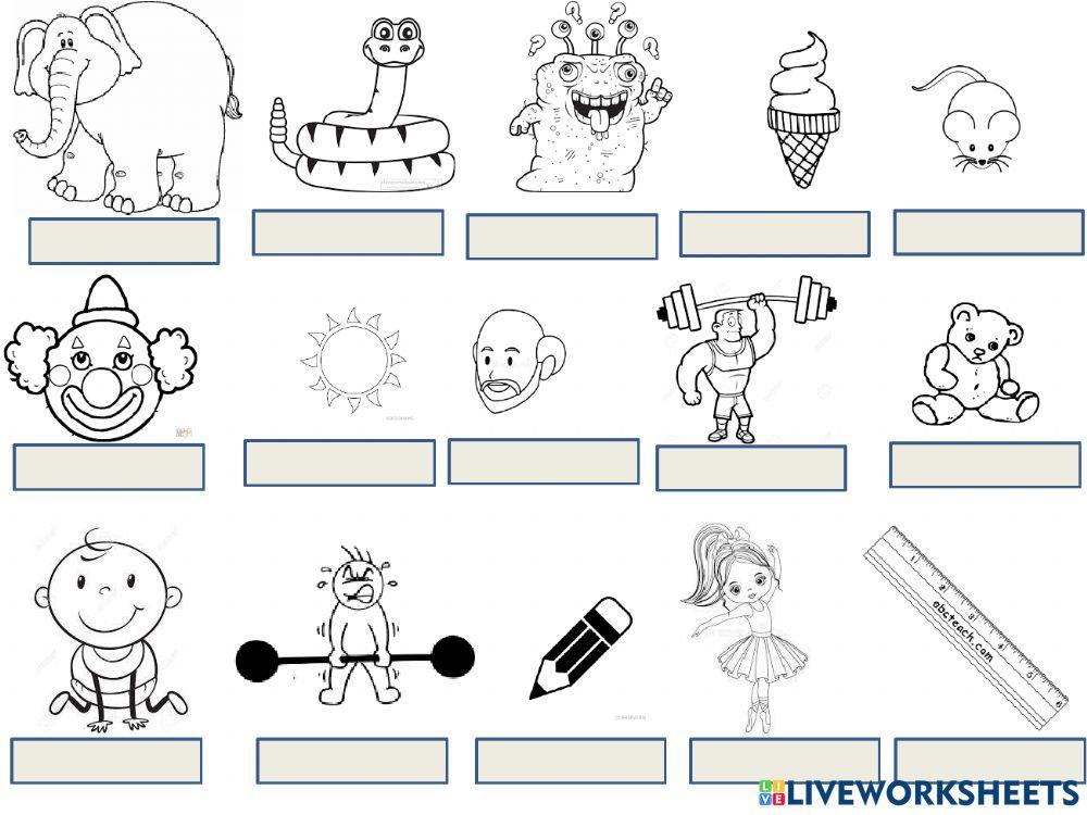 Adjectives Adjectives