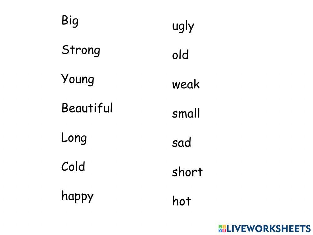 Adjectives Adjectives