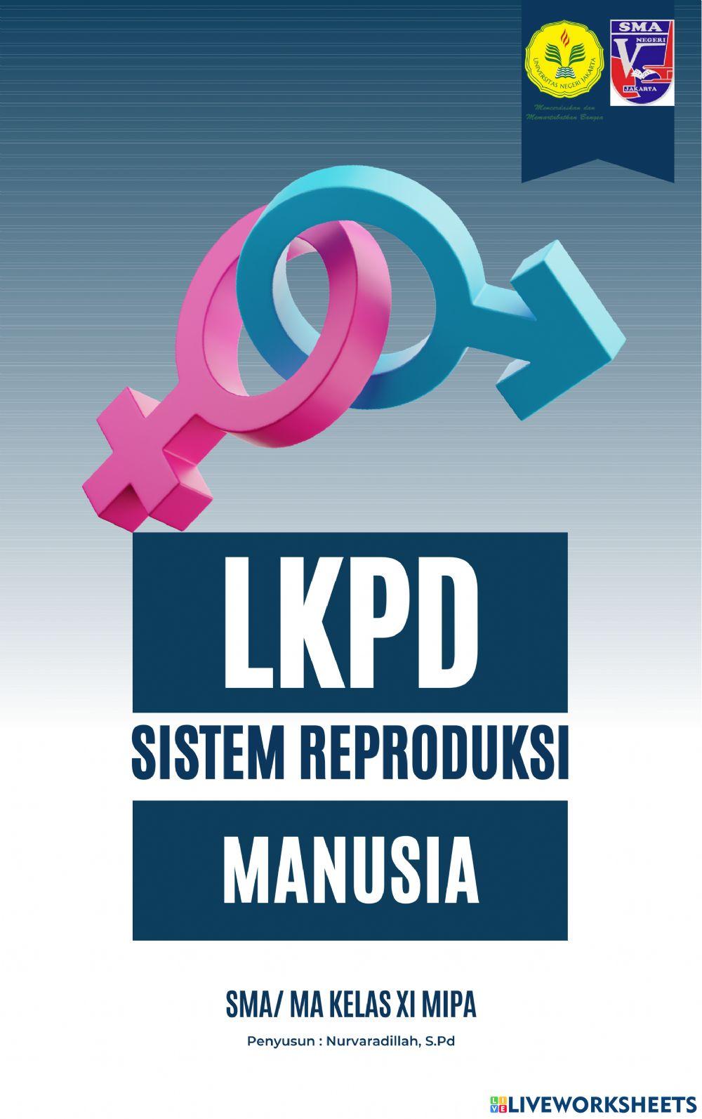 Sistem Reproduksi Manusia P2
