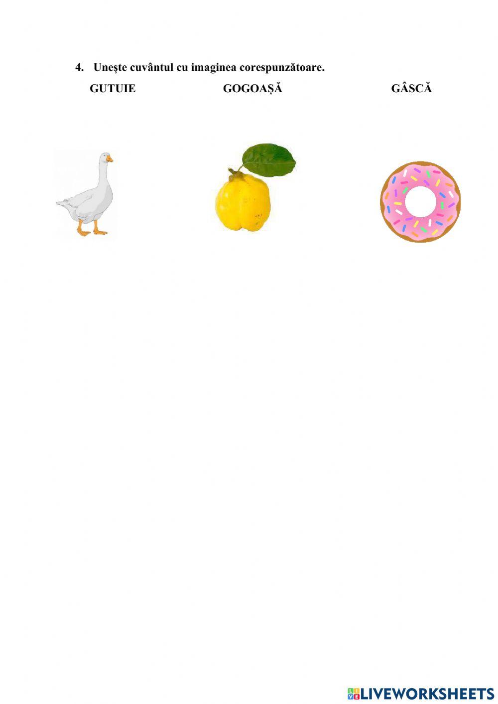 Sunetul g și literele g și G