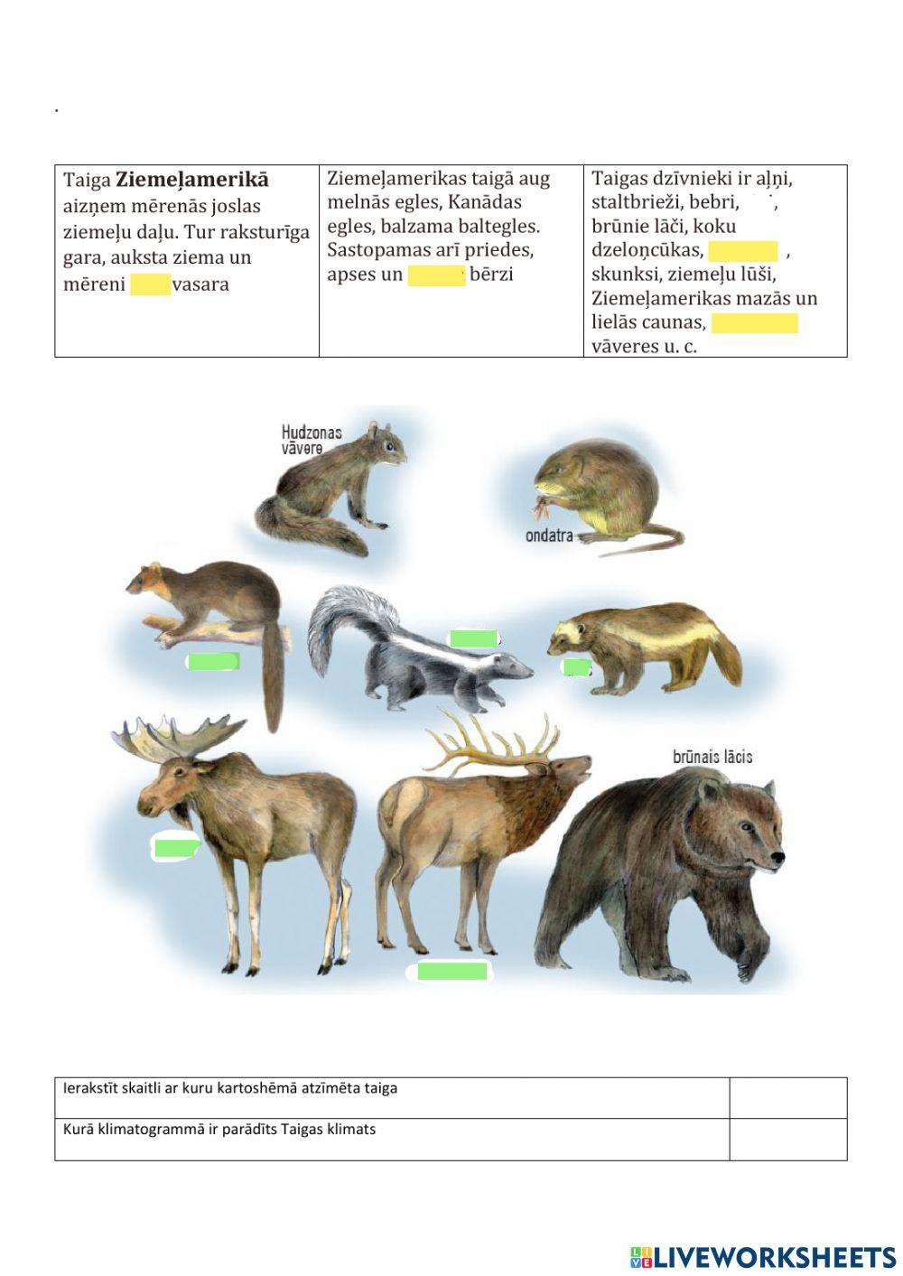 Taiga-Krievija,Zviedrija,Somija(daba,saimniecība)