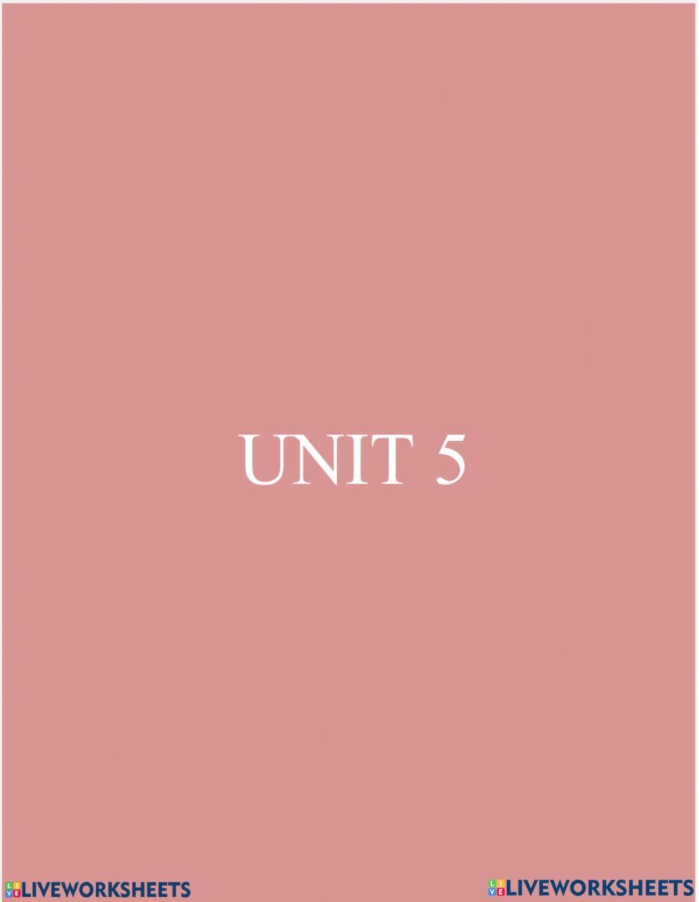Unit 5 Divider