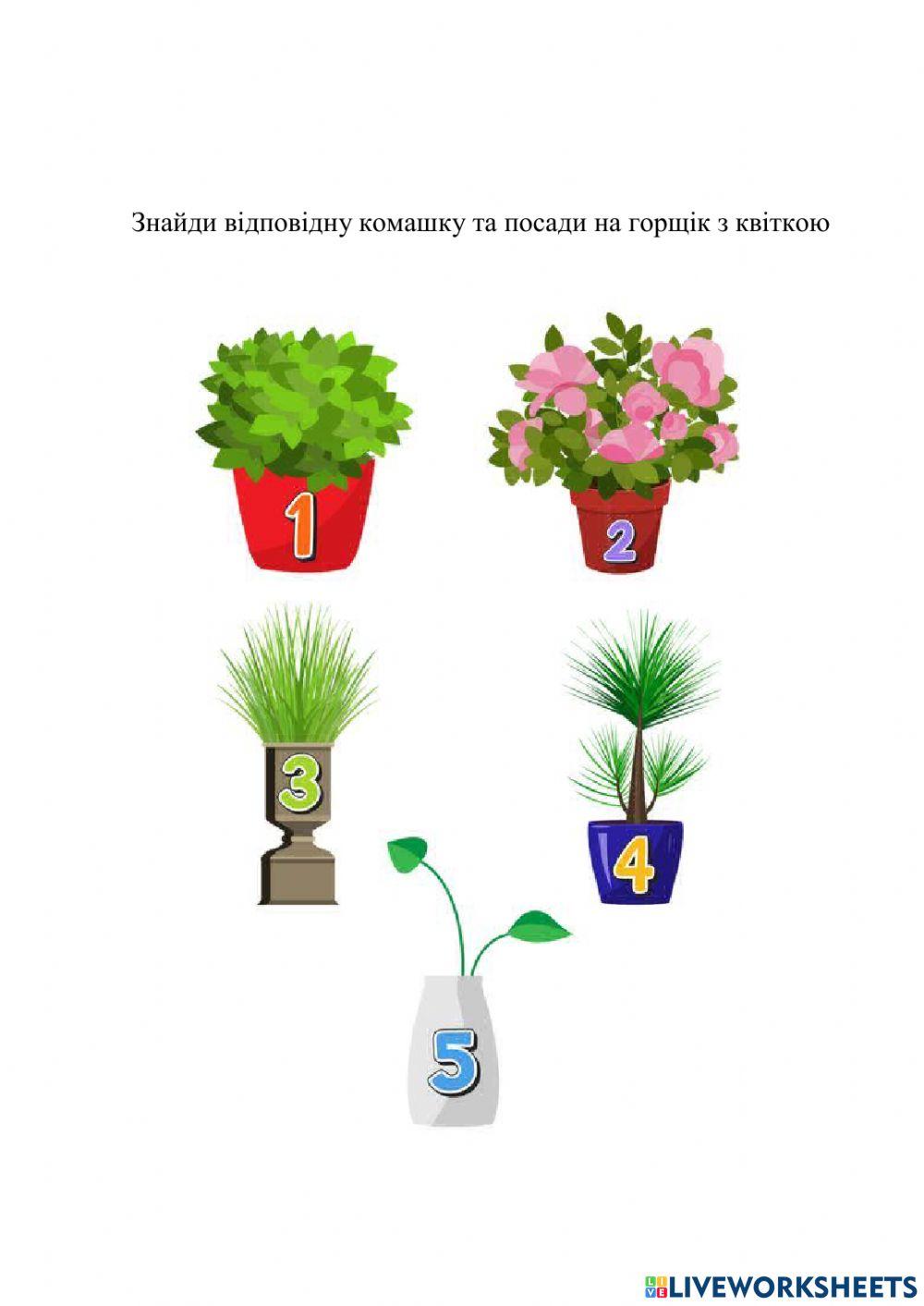 Порахуй комах