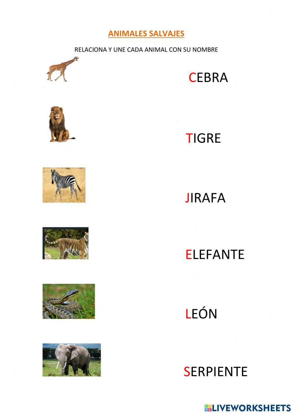 FICHA INTERACTIVA RELACIONAR Y UNIR ANIMALES SALVAJES