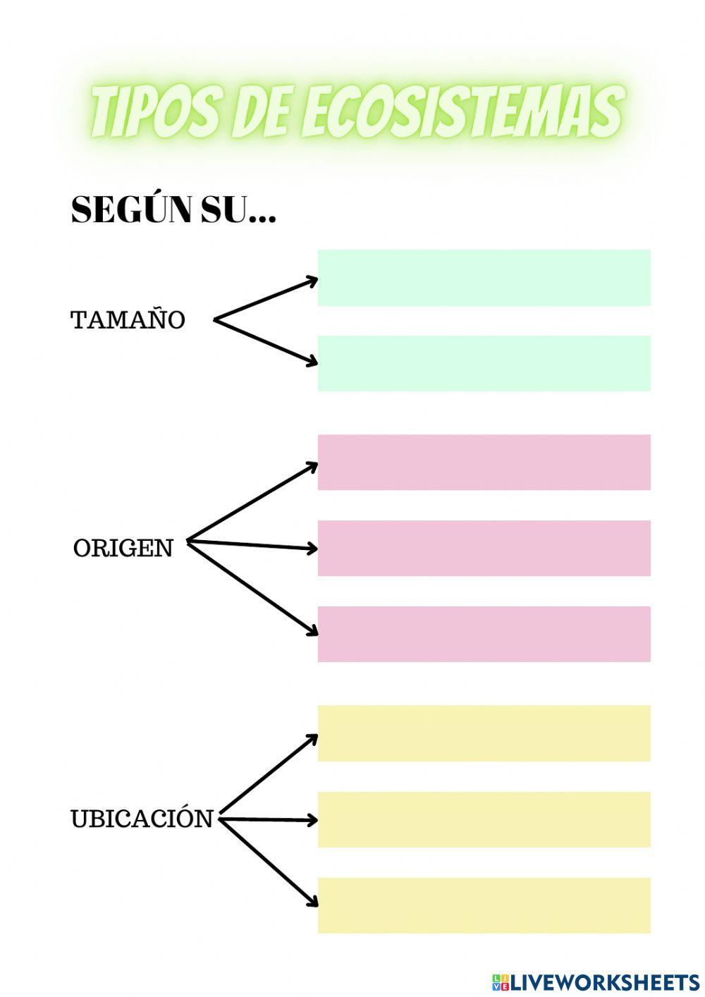 Ecosistemas y materia