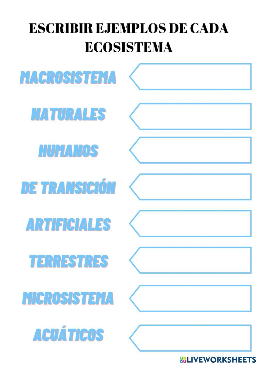 Ecosistemas y materia