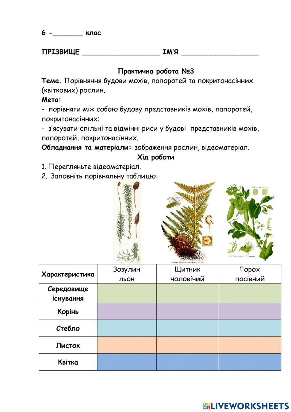 Практична робота. Порівняння будови мохів, папоротей, покритонасінних.
