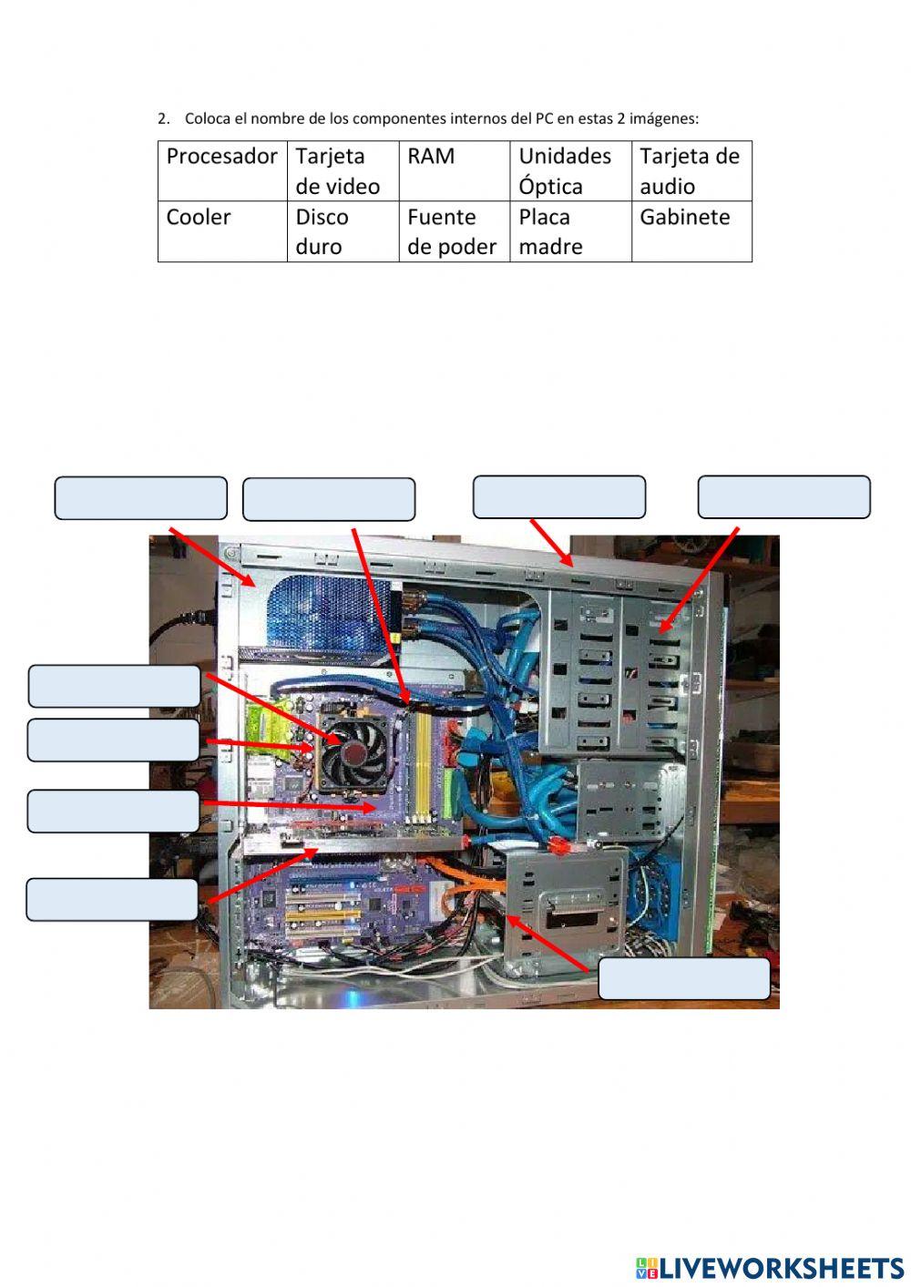 Partes internas y externas del PC