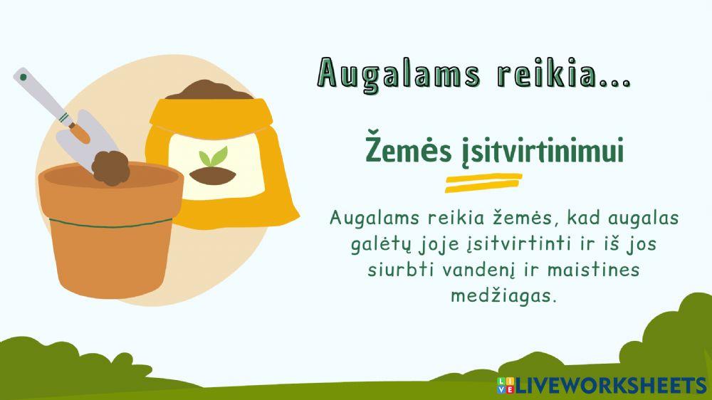 Augalų augimo sąlygos