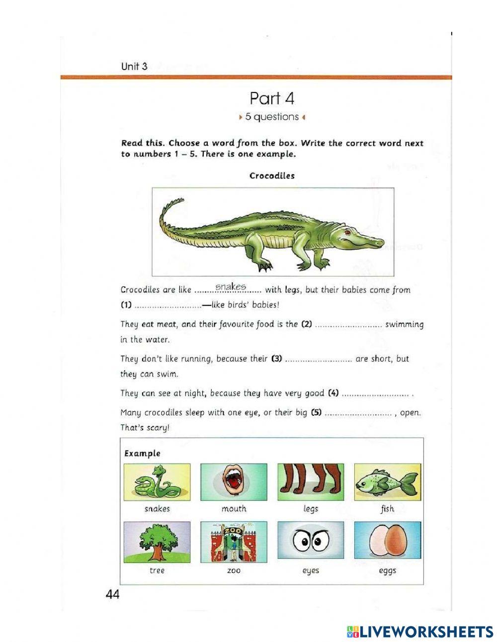 Starters-Skill builder 1-Test 3