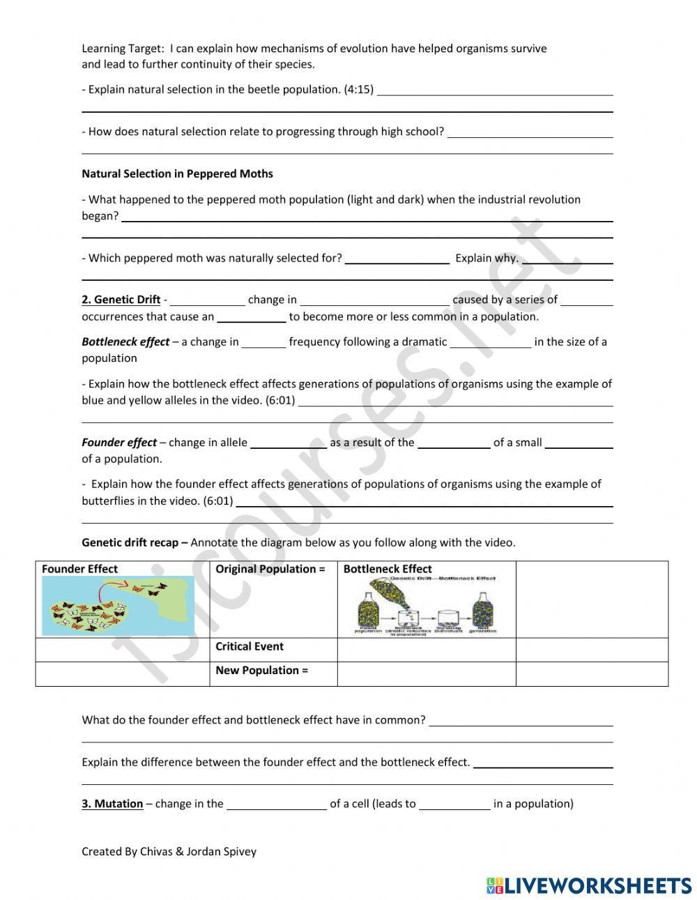 Mechanisms of Evolution Video notes with Quiz