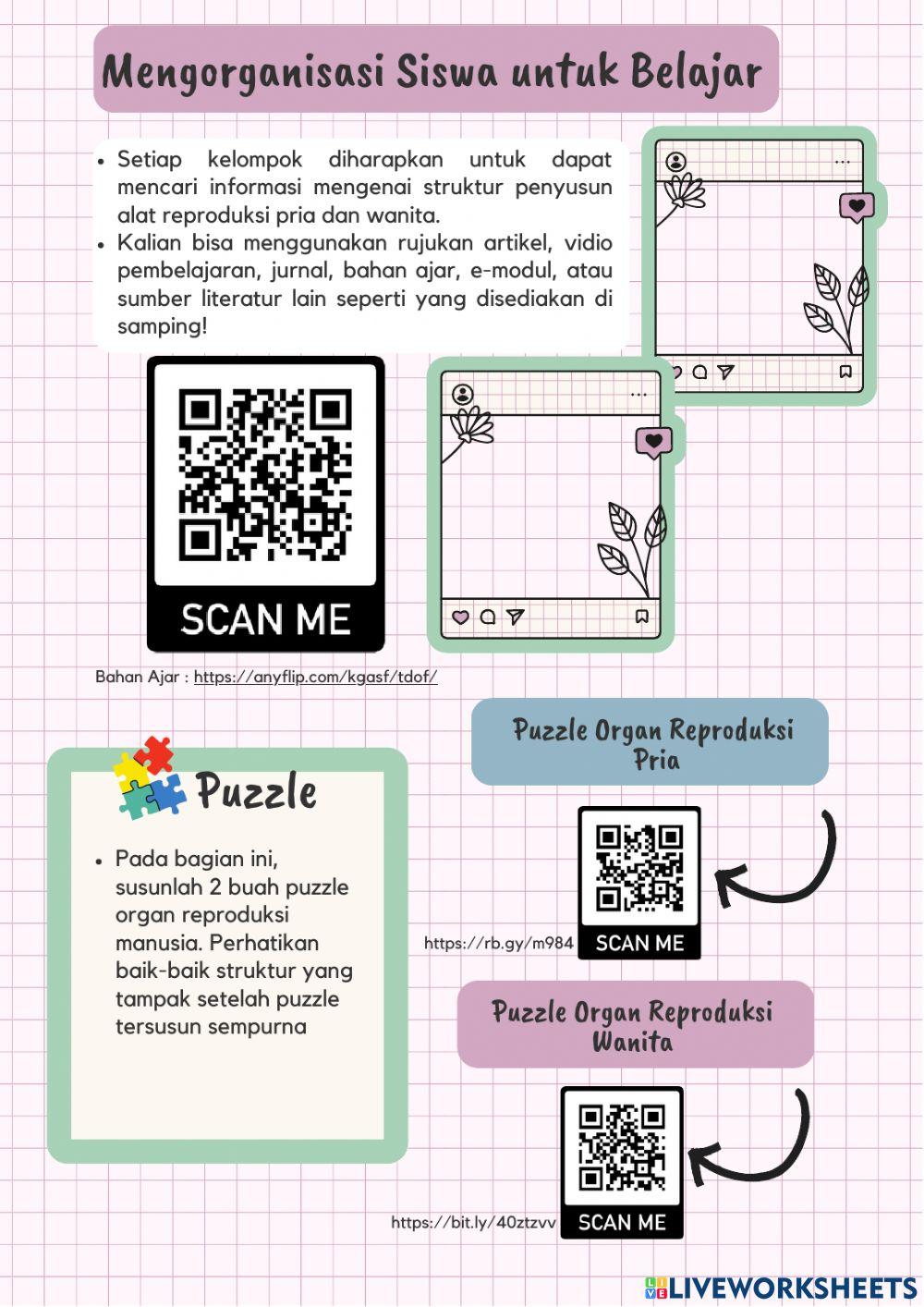 LKPD Sistem Reproduksi (Organ-organ Reproduksi Manusia)
