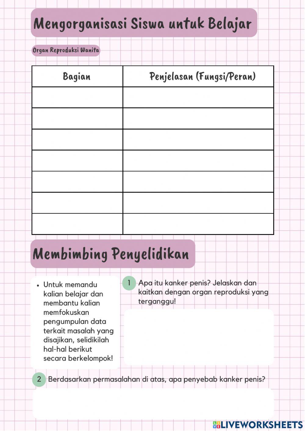 LKPD Sistem Reproduksi (Organ-organ Reproduksi Manusia)