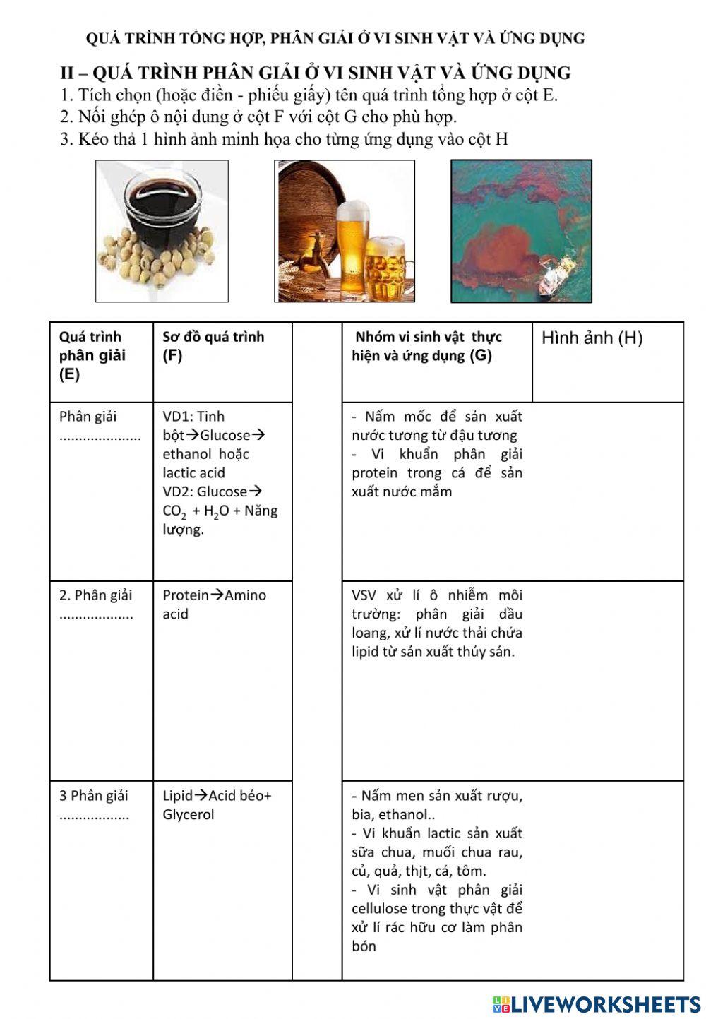 Tổng hợp và phân giải các chất ở vi sinh vật