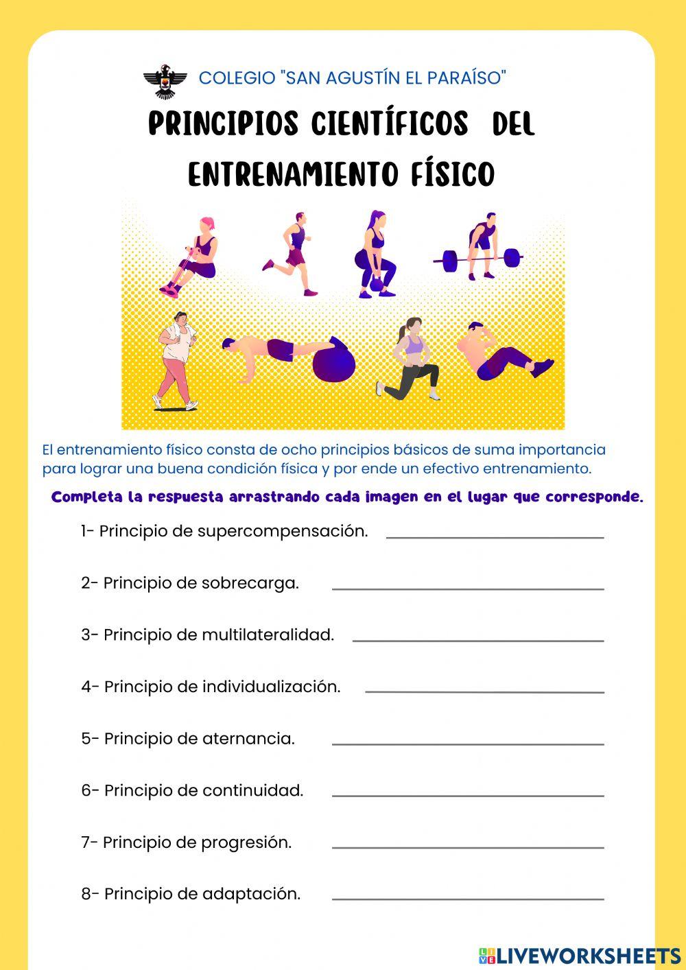 Principios científico del entrenamiento