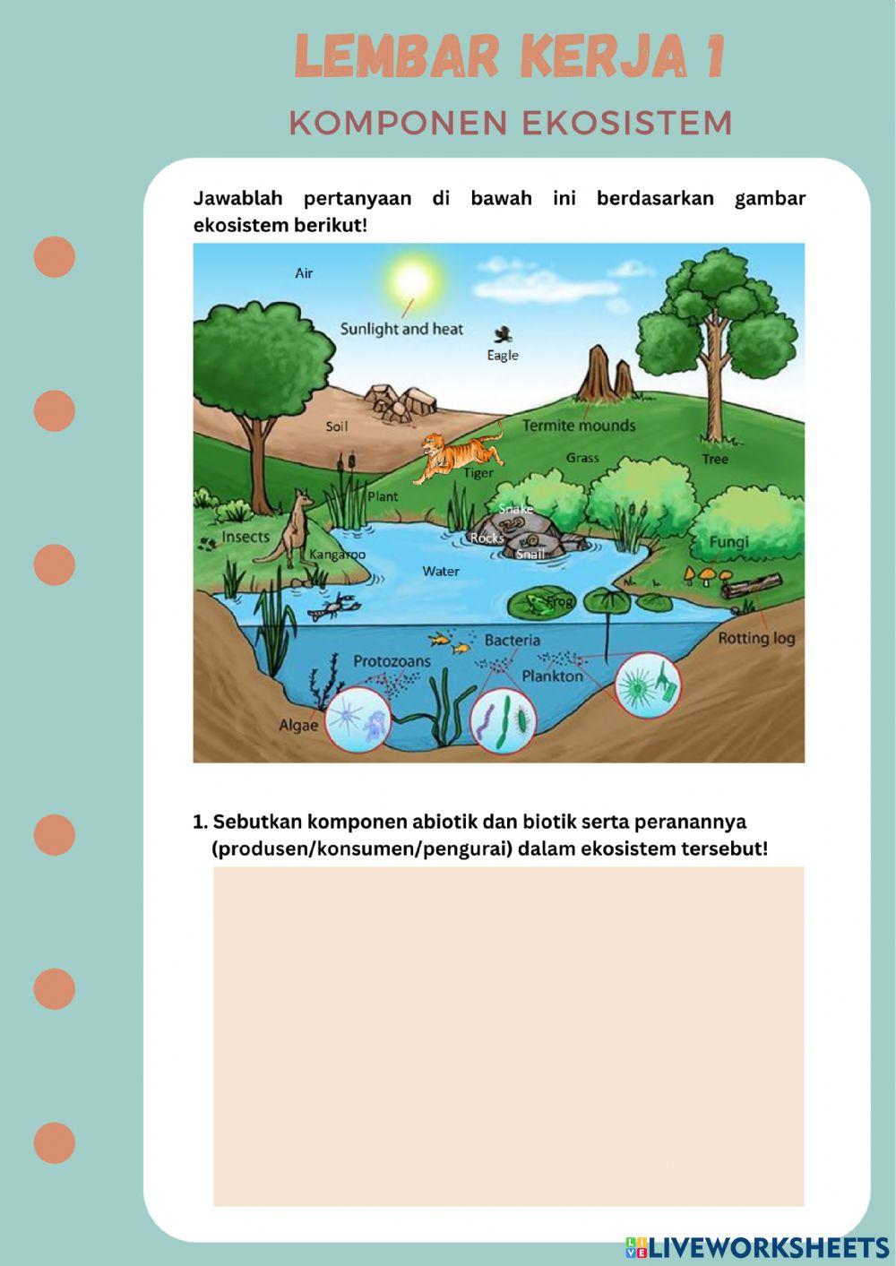 LKPD dan Evaluasi Ekosistem