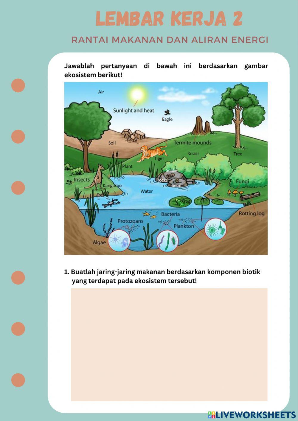 LKPD dan Evaluasi Ekosistem
