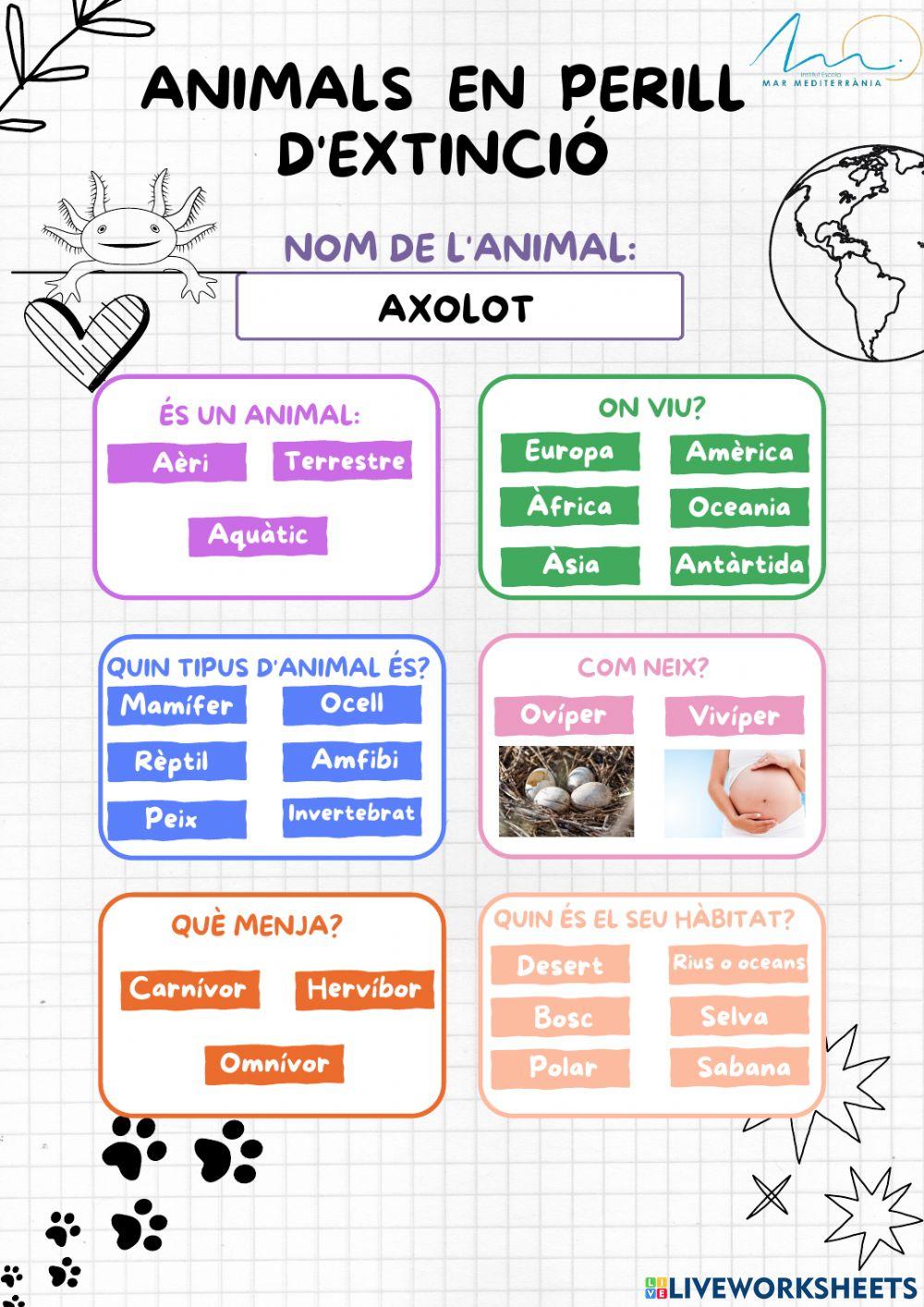 Animals en perills:axolot