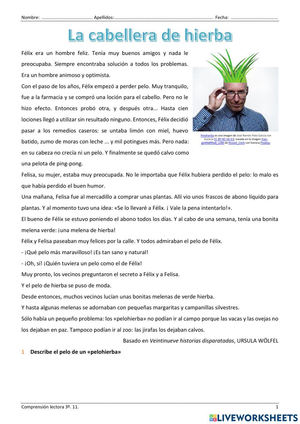 Comprensión lectora 11