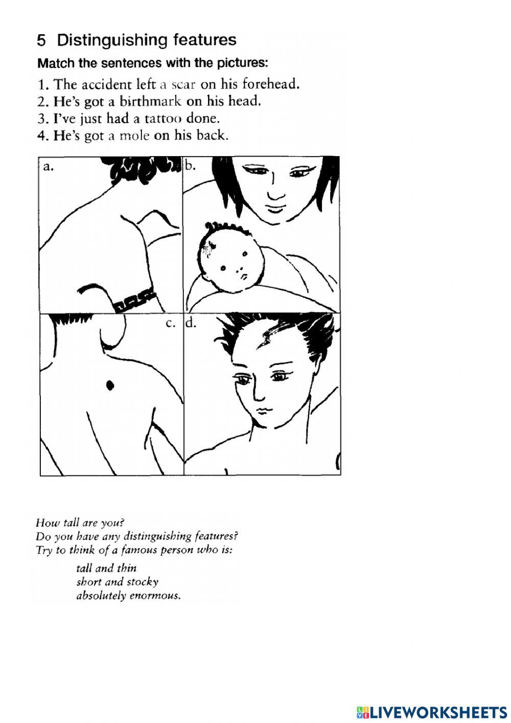 Vocabulary Organizer