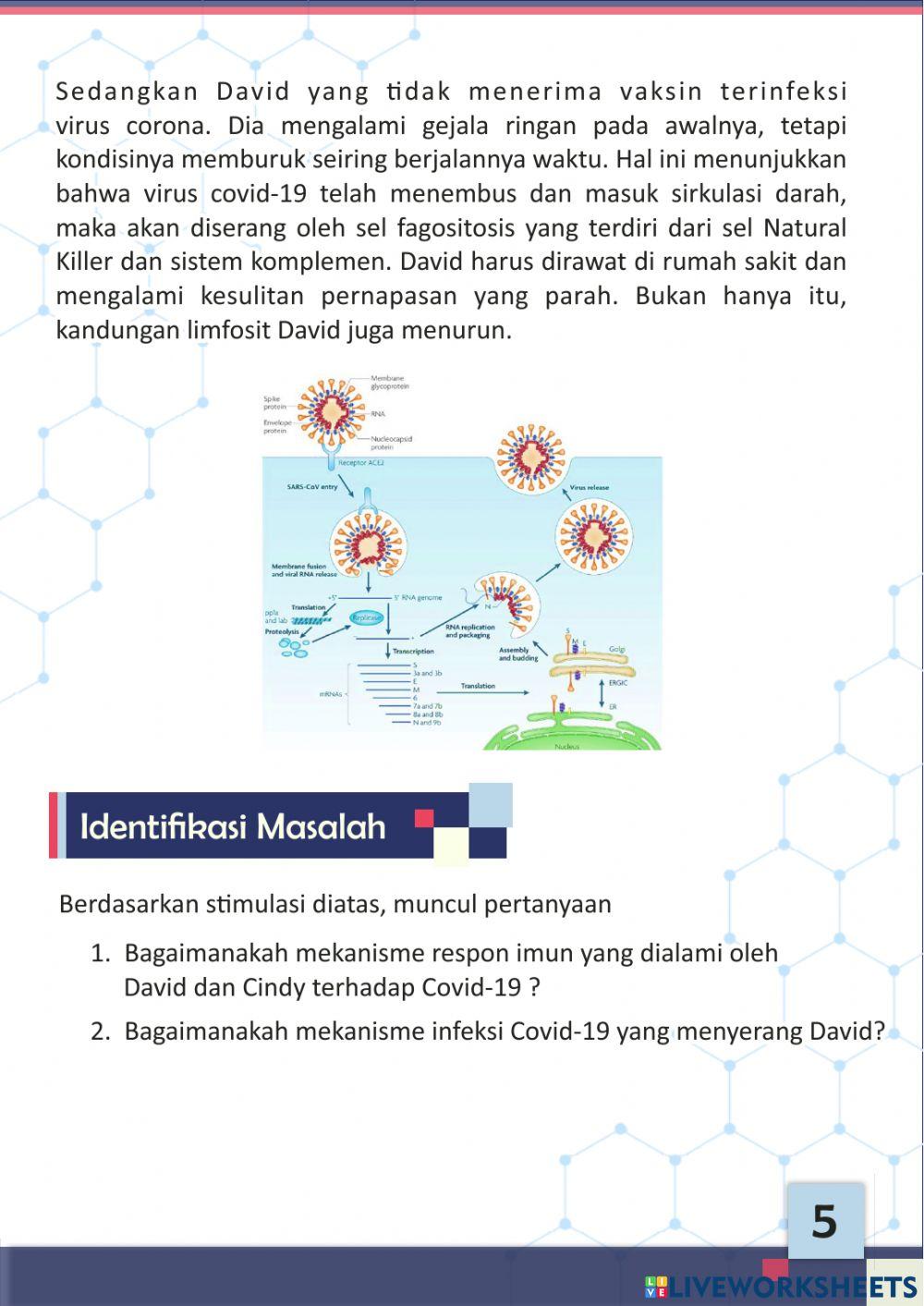 E-LKPD Sistem Imun Berbasis Discovery Learning