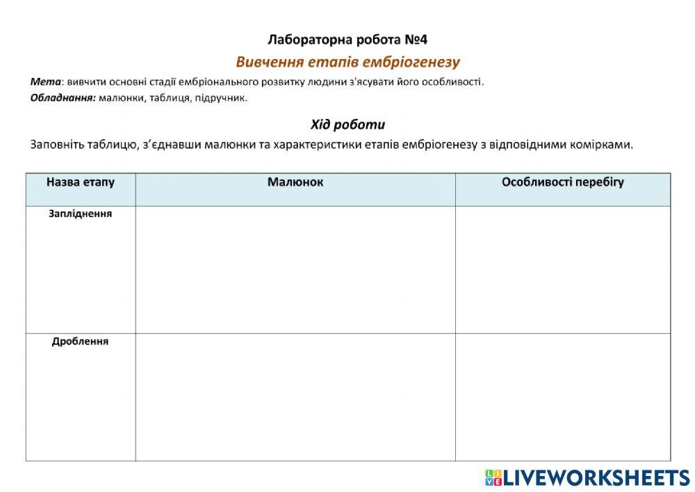 Лабораторна робота №4