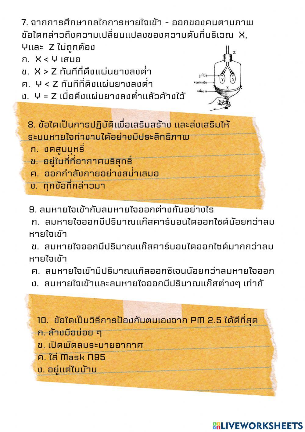 ทดสอบหลังเรียนระบบหายใจ