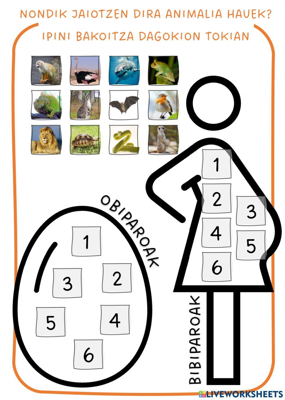 Animaliak sailkatu jaiotzaren arabera