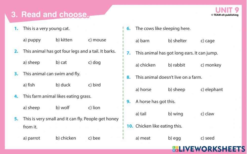 Unit 8 animal shelter