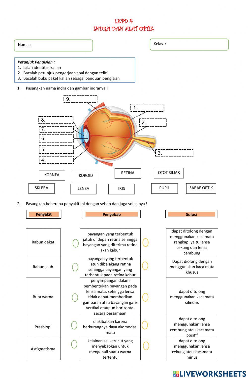 Cahaya dan Alat Optik