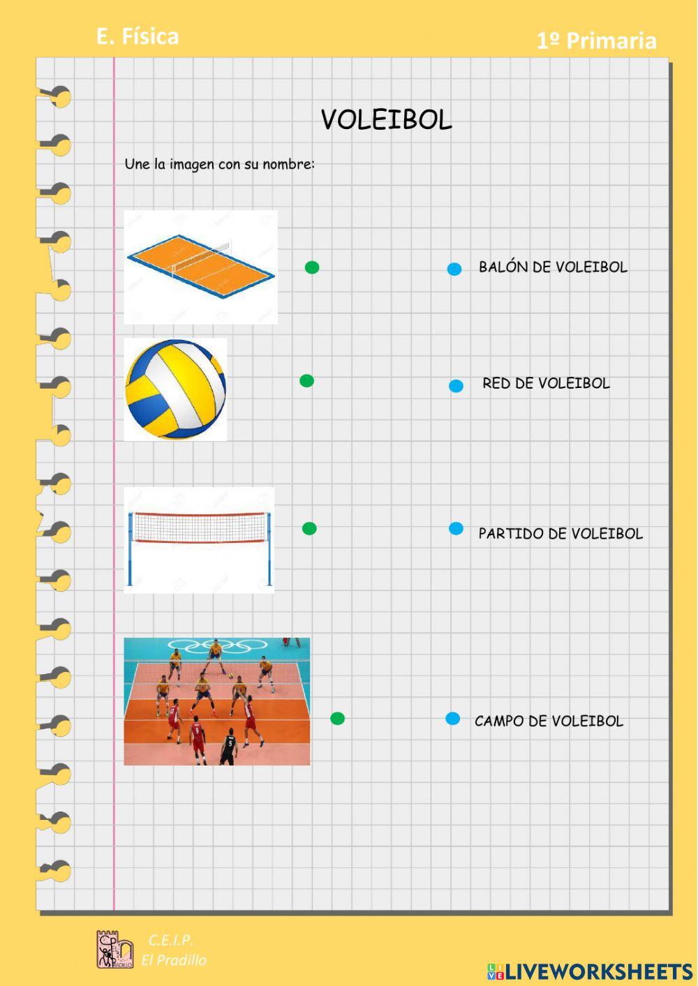 Voleibol