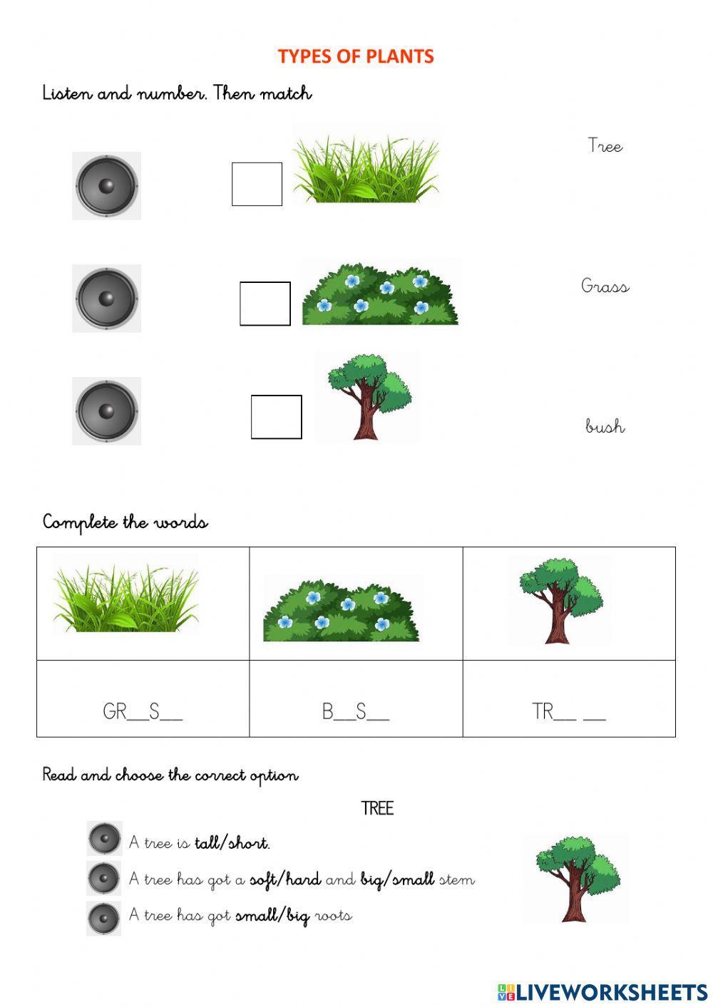 Types Of Plants Worksheet For 1 Primaria Live Worksheets types-of-plants-worksheet-for-1-primaria-live-worksheets