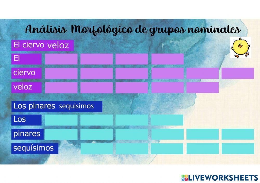 Análisis morfológico: grupos nominales